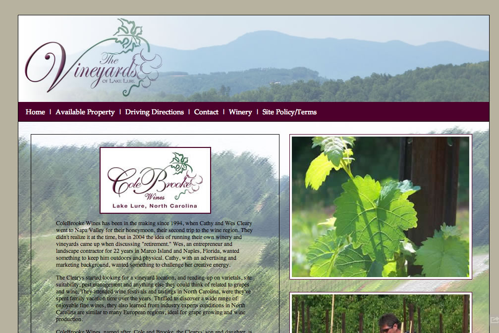 Portfolio screenshot of Vineyards of Lake Lure